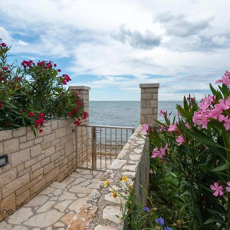 Apartments Valentina أوماغ المظهر الخارجي الصورة