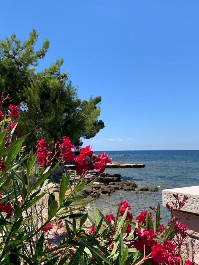 Apartments Valentina أوماغ المظهر الخارجي الصورة